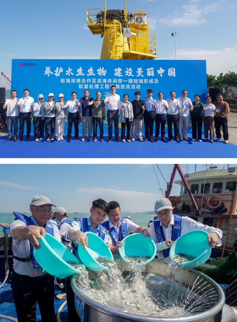 碧水前海 鱼翔深港|2026年深圳前海合作区生态增殖放流活动举行