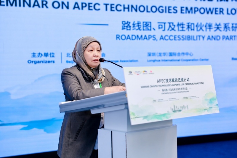 以技术之笔，绘低碳蓝图：APEC技术赋能低碳行动研讨会在深圳龙华开幕