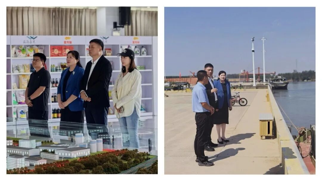侨连四海担使命 薪火赓续启新程 ——周口市侨商联合会第二届换届大会圆满召开