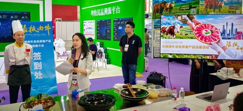 张掖养好牛,湾区启“味”来|借力“粤牧优品”通全球肉牛产业交易会,拓宽入湾新路径