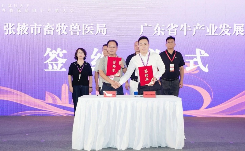 张掖养好牛,湾区启“味”来|借力“粤牧优品”通全球肉牛产业交易会,拓宽入湾新路径