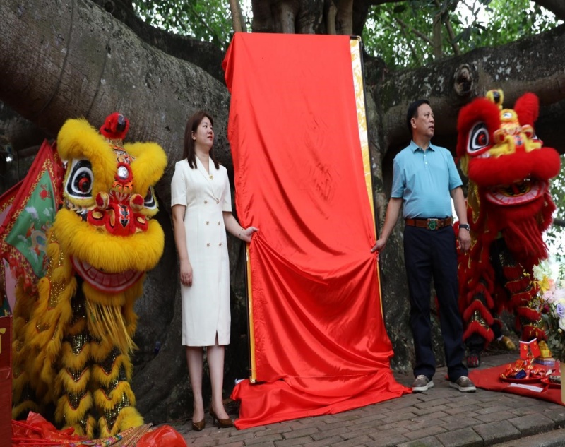《平陆运河上河图》——龙母文化园开园仪式新闻纪实